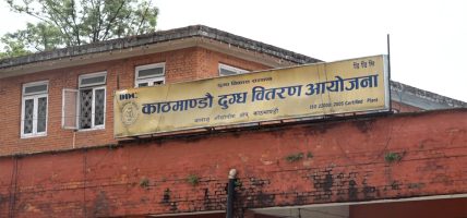६०० मेट्रिक टन दुग्ध पदार्थको मूल्य समायोजन गरेर विक्री गर्ने तयारीमा डीडीसी