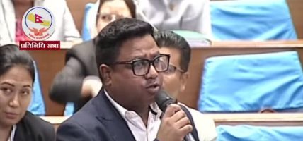 उपसभामुखको अवमूल्यन लोकतन्त्रका लागि खतरा हो : सांसद परियार