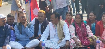 जनकपुरमा राष्ट्रिय झण्डासहित सात राजनीतिक दलको प्रदर्शन