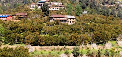 कृषि र पर्यटन जोड्ने ‘सुन्तला-हाइकिङ’ काभ्रेपलाञ्चोकमा  सुरु