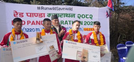 ‘जंगल बचाऔँ, जंगलमा दौडौँ’ : रेडपाण्डा संरक्षण र पर्यटन विकासका लागि इलाममा अन्तर्राष्ट्रिय स्तरको म्याराथन