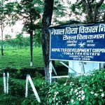 नेपाल चिया विकास निगमको सञ्चालन आम्दानी १ अर्ब माथि, आईपीओ निष्कासनको तयारी