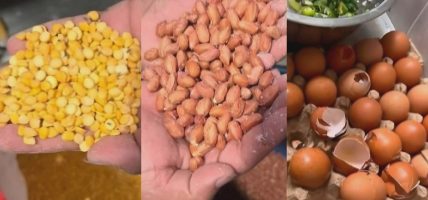 सिंहदरबारको केन्द्रीय क्यान्टिनमा अखाद्य सामग्री फेला, २ लाख १ हजार रुपैयाँ जरिवाना